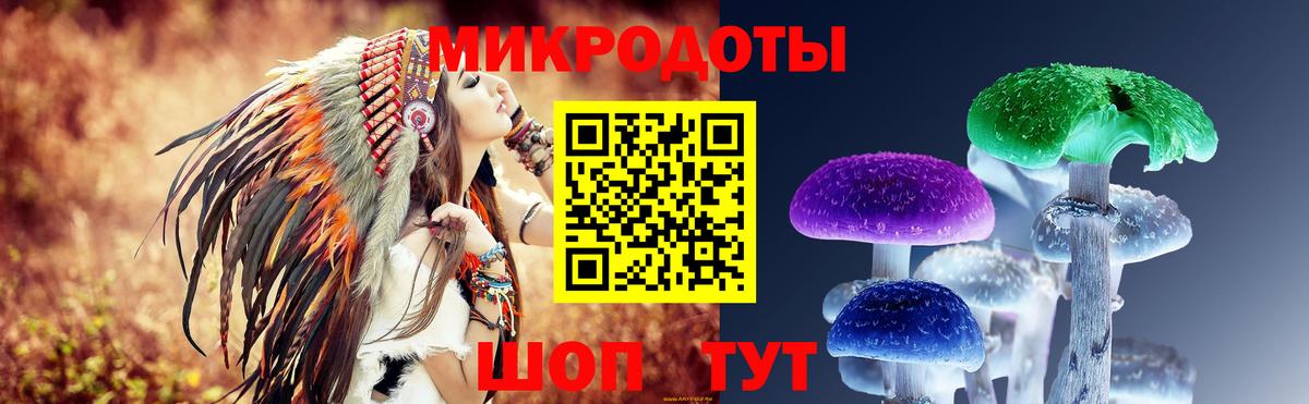 Псилоцибиновые грибы мухоморы Шелехов