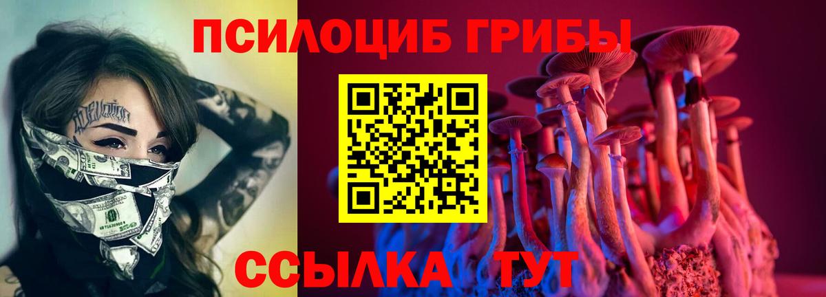 купить наркотик  Псилоцибиновые грибы Psilocybine cubensis  Вход с VPN  Шелехов 